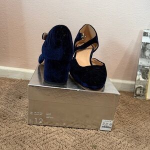 J. Crew Women's Deep Blue Velvet Heels
